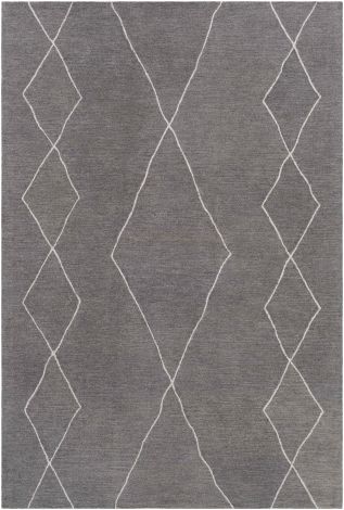 Sinop SNP-2307 Charcoal, Cream Hand Tufted Global Area Rugs By Surya