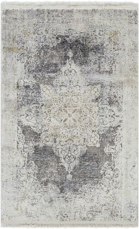 Solar SOR-2305 Charcoal, Taupe Machine Woven Traditional Area Rugs By Surya