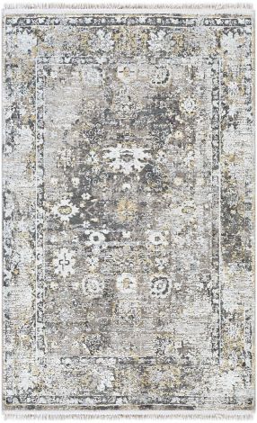 Solar SOR-2308 Charcoal, Taupe Machine Woven Traditional Area Rugs By Surya