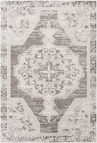 St tropez SRZ-2301 Light Gray, Taupe Machine Woven Traditional Area Rugs By Surya