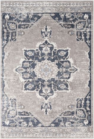St tropez SRZ-2305 Light Gray, Taupe Machine Woven Traditional Area Rugs By Surya
