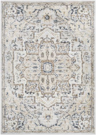 St tropez SRZ-2318 Tan, Charcoal Machine Woven Traditional Area Rugs By Surya