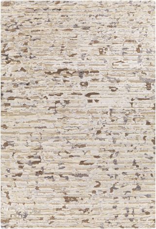 Seda SSD-2301 Charcoal, Dark Brown Hand Knotted Modern Area Rugs By Surya