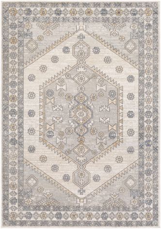 Seattle STA-2305 Medium Gray, White Machine Woven Traditional Area Rugs By Surya