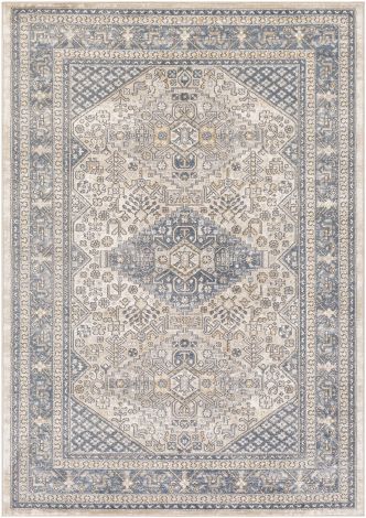 Seattle STA-2312 Denim, Light Gray Machine Woven Traditional Area Rugs By Surya