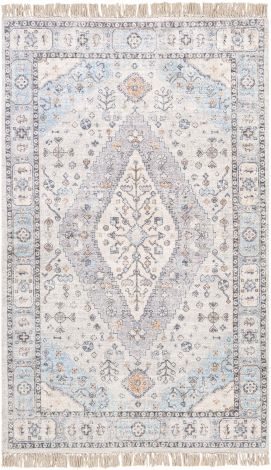 Sivas SVS-2300 Taupe, Light Gray Hand Woven Traditional Area Rugs By Surya