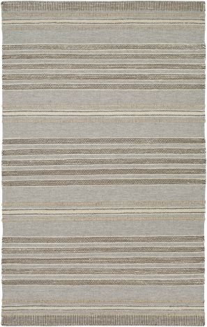 Thebes THB-1000 Taupe, Cream Hand Woven Cottage Area Rugs By Surya