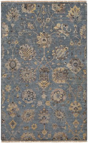 Theodora THO-3006 Multi Color Hand Knotted Traditional Area Rugs By Surya