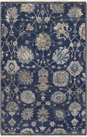 Theodora THO-3007 Navy, Taupe Hand Knotted Traditional Area Rugs By Surya