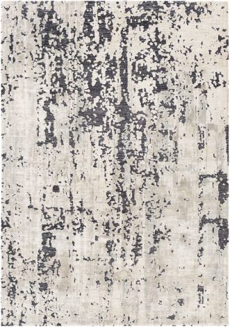 Talise TLE-1009 Charcoal, Taupe Hand Woven Modern Area Rugs By Surya
