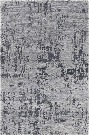Talise TLE-1012 Charcoal, Medium Gray Hand Woven Modern Area Rugs By Surya