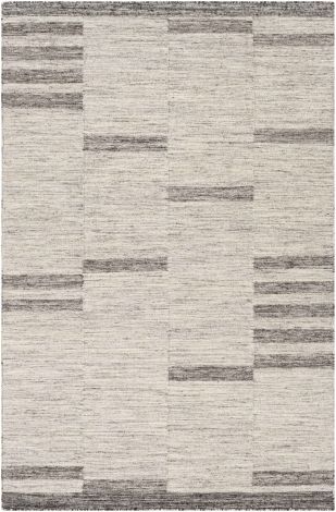 Tamaris TMI-2303 Light Gray, Medium Gray Hand Woven Modern Area Rugs By Surya