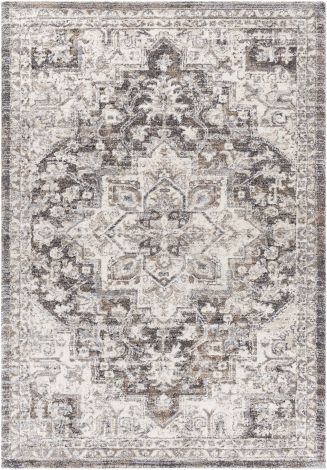 Tuscany TUS-2318 Camel, Charcoal Machine Woven Traditional Area Rugs By Surya