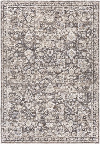 Tuscany TUS-2319 Dark Brown, Camel Machine Woven Traditional Area Rugs By Surya