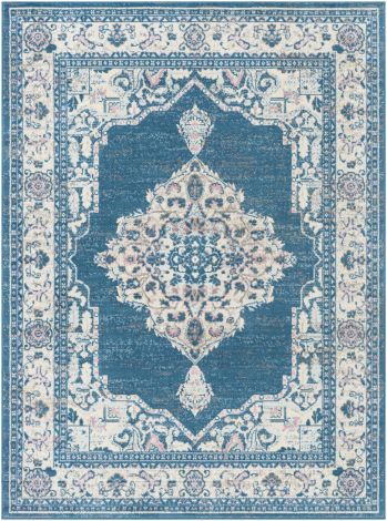 Ustad UST-2320 Denim, Taupe Machine Woven Traditional Area Rugs By Surya