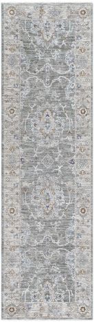 Virginia VGN-2303 Machine Woven Traditional Area Rugs By Surya