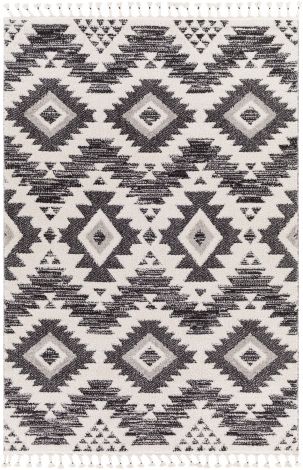 Valencia VLC-2306 Black, Light Gray Machine Woven Global Area Rugs By Surya