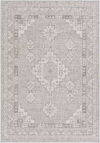 Veranda VRD-2314 Taupe, Ivory Machine Woven Traditional Area Rugs By Surya