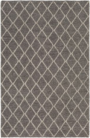 Whistler WSR-2301 Charcoal, Ivory Hand Woven Modern Area Rugs By Surya