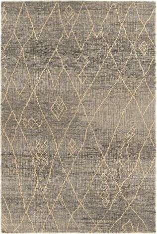 Watford WTF-2302 Charcoal, Beige Hand Woven Global Area Rugs By Surya