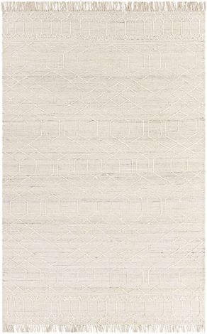 Watford WTF-2303 Beige, Light Gray Hand Woven Global Area Rugs By Surya