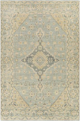 Zahra ZHA-2302 Dark Green, Sage Hand Knotted Traditional Area Rugs By Surya