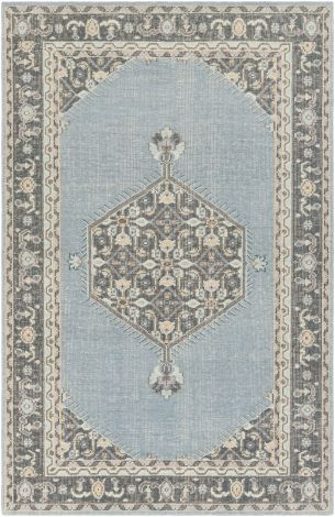 Zahra ZHA-4050 Multi Color Hand Knotted Traditional Area Rugs By Surya